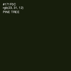#171F0C - Pine Tree Color Image